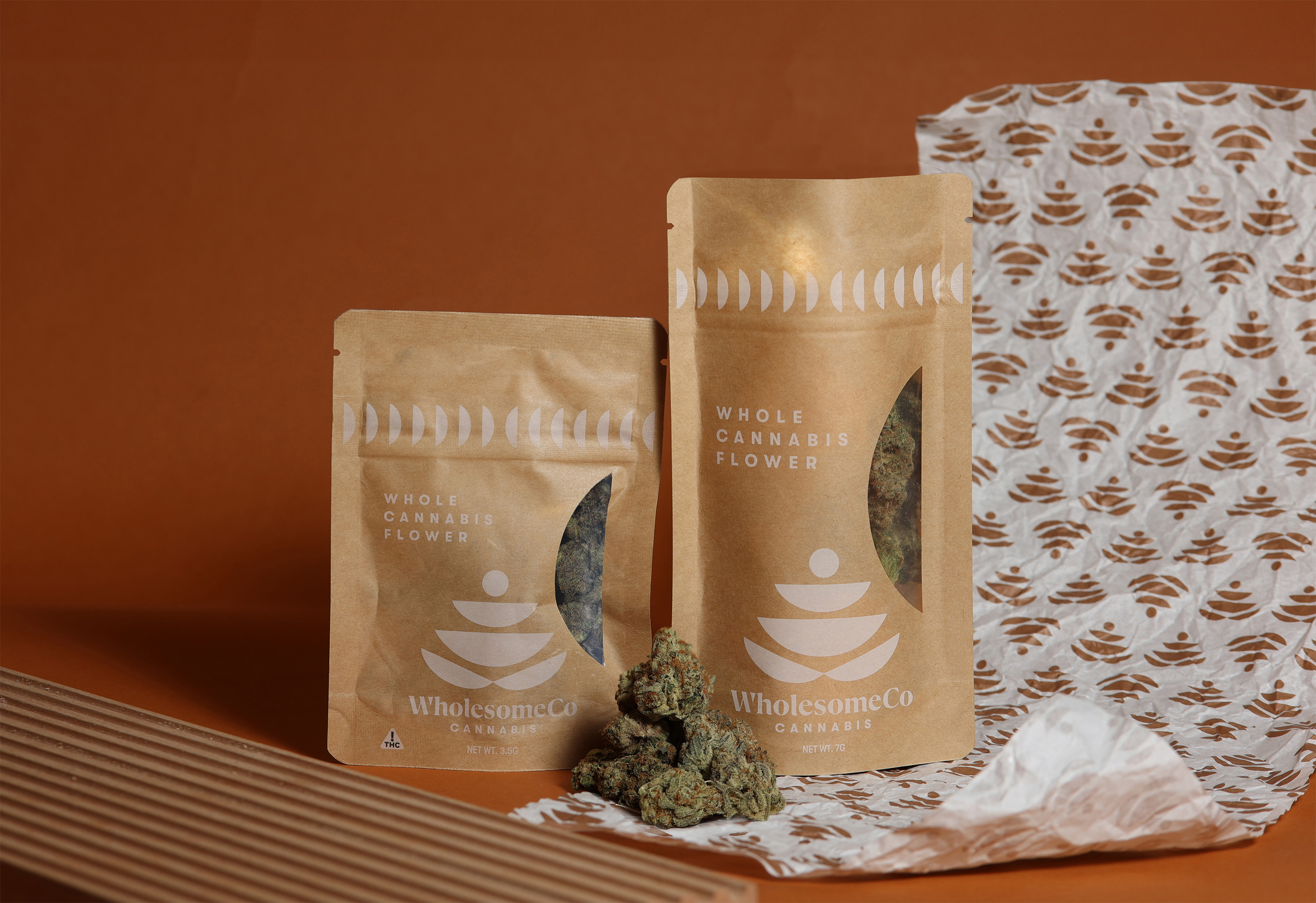 Cannabis Strains Guide Featured Image