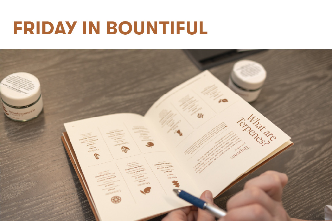 BOUNTIFUL Featured Image