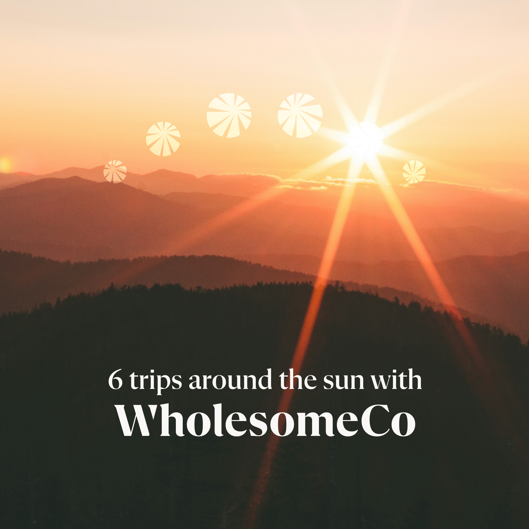 WholesomeCo cannabis delivery
