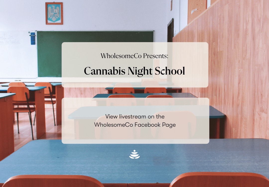 Cannabis Night School Featured Image