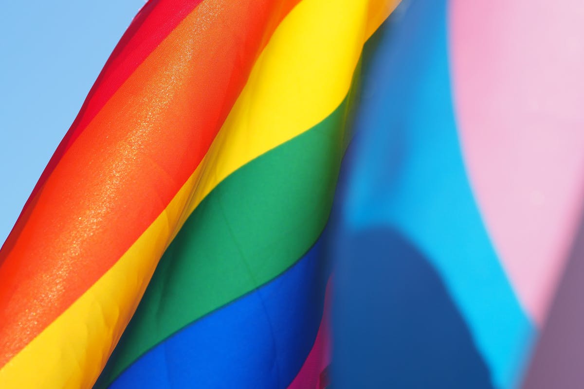 Taking Pride: How Cannabis Legalization Owes Its Roots to the LGBTQIA+ Community Featured Image