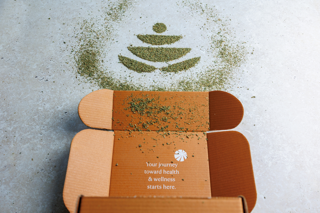 Our Commitment to Environmental Sustainability Featured Image