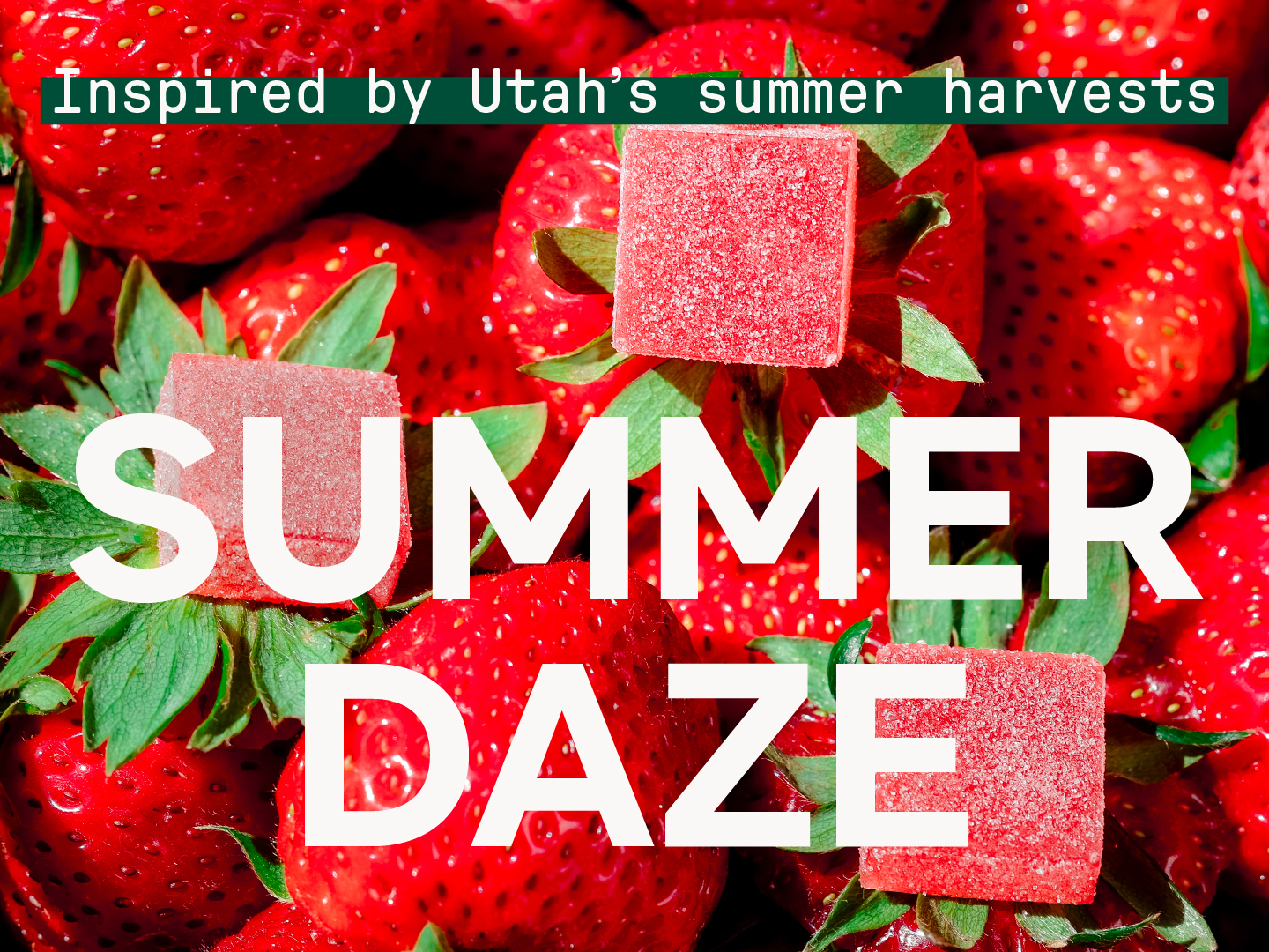 Limited Edition Summer Gummies Pay Tribute to Utah’s Fruit Production Featured Image