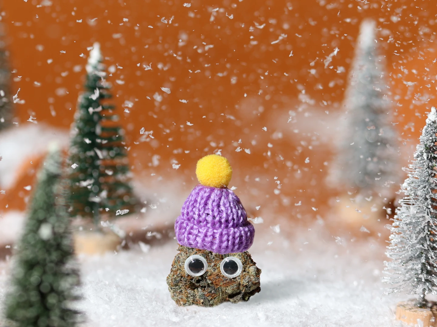 WholesomeCo Free Delivery