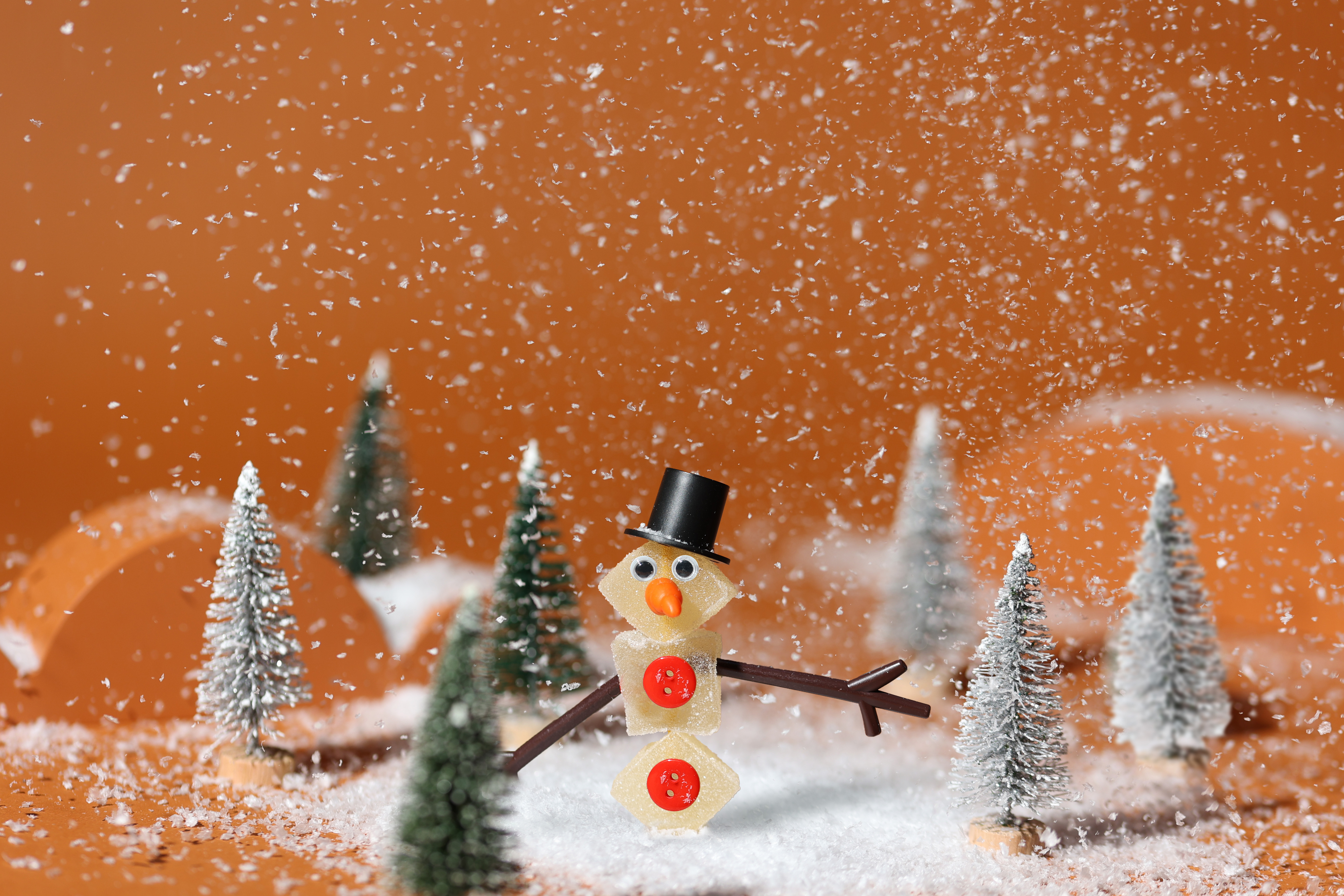 WholesomeCo's Holiday Price Match Promise 2025 Featured Image