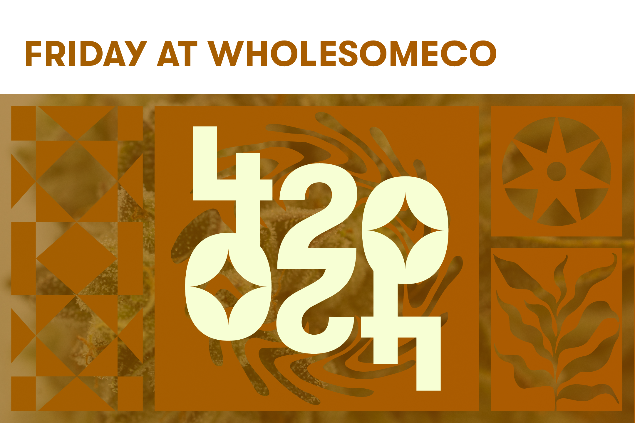 BOUNTIFUL Featured Image