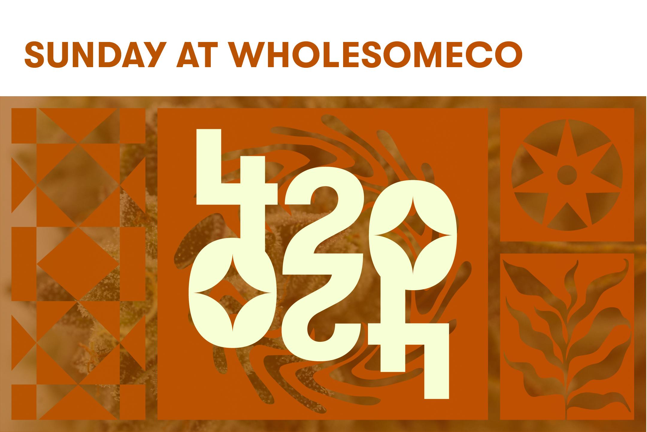 BOUNTIFUL Featured Image