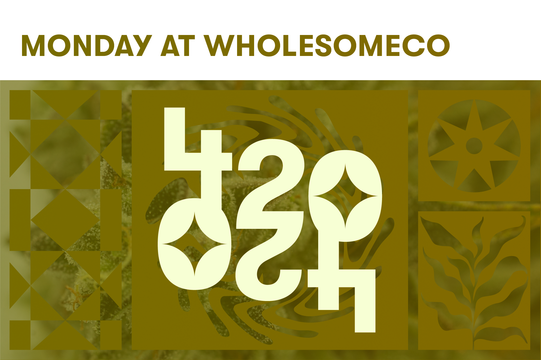 BOUNTIFUL Featured Image