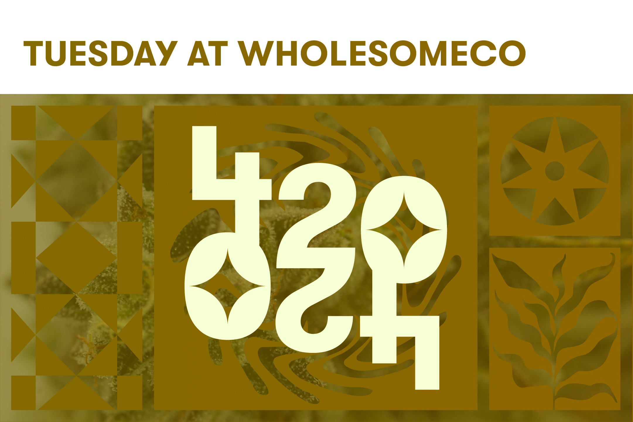 BOUNTIFUL Featured Image