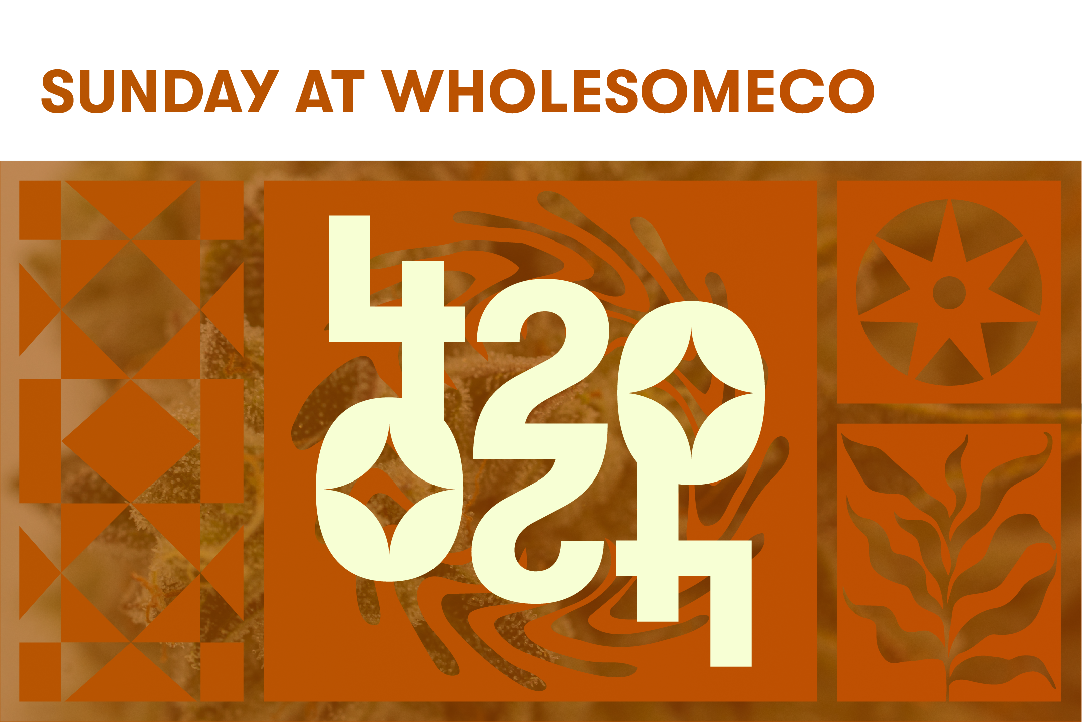 BOUNTIFUL Featured Image