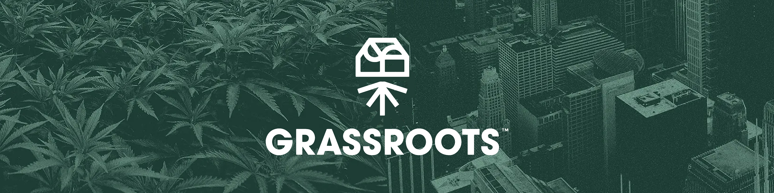 Grassroots Cover Image