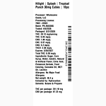 Splash - Tropical Punch by Hilight