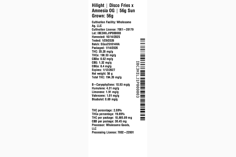 Disco Fries x Amnesia OG by Hilight