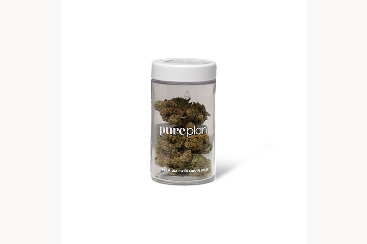 Obtuse OG by Pure Plan