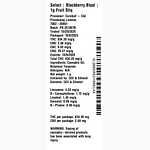 Blackberry Blast Fruit Stiq by Select