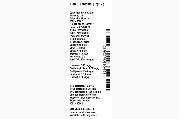 Zantasia by Zion
