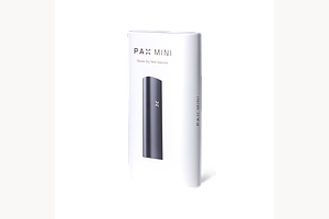 Mini 2 by PAX