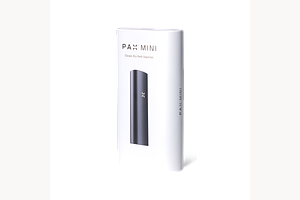 Mini 2 by PAX