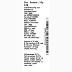 Zantasia by Zion