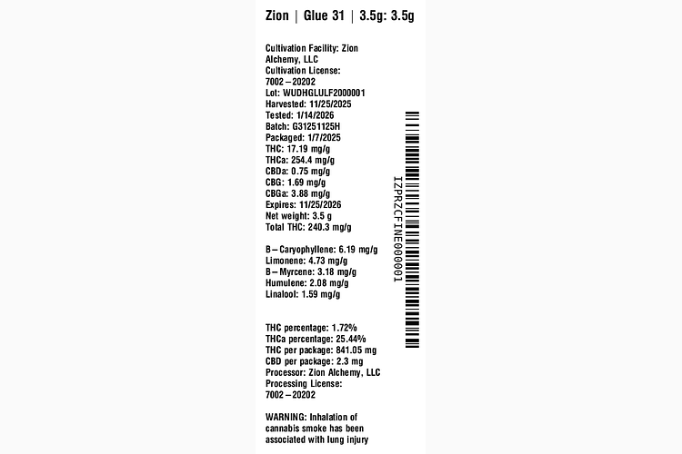 Glue 31 by Zion