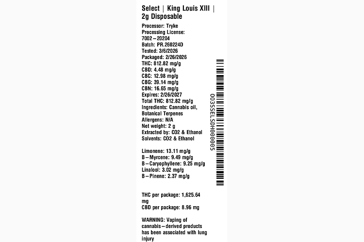 King Louis XIII by Select