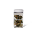 Dirty Taxi by Pure Plan