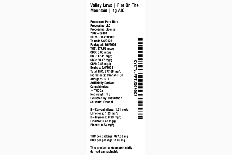 Fire On The Mountain by Valley Lows