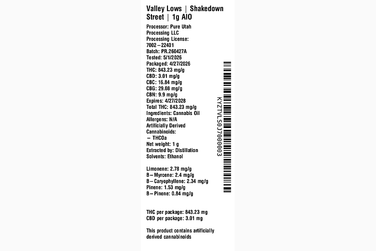 Shakedown Street by Valley Lows