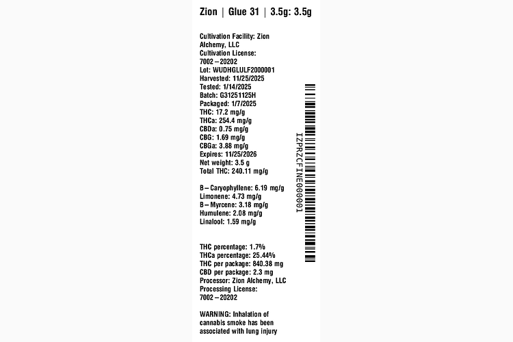 Glue 31 by Zion