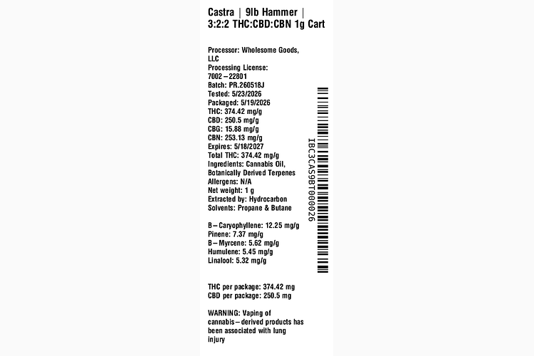 9LB Hammer by Castra