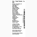 Tropic Thunder by Zion