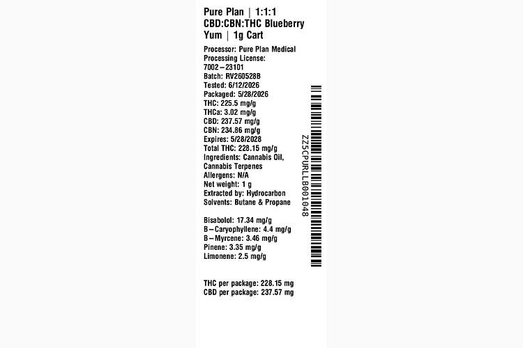 Blueberry Yum by Pure Plan