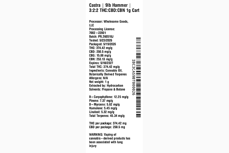 9LB Hammer by Castra