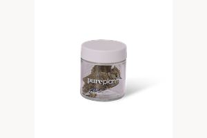 Banana Dulce #8 by Pure Plan