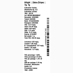 Zebra Ztripez by Hilight