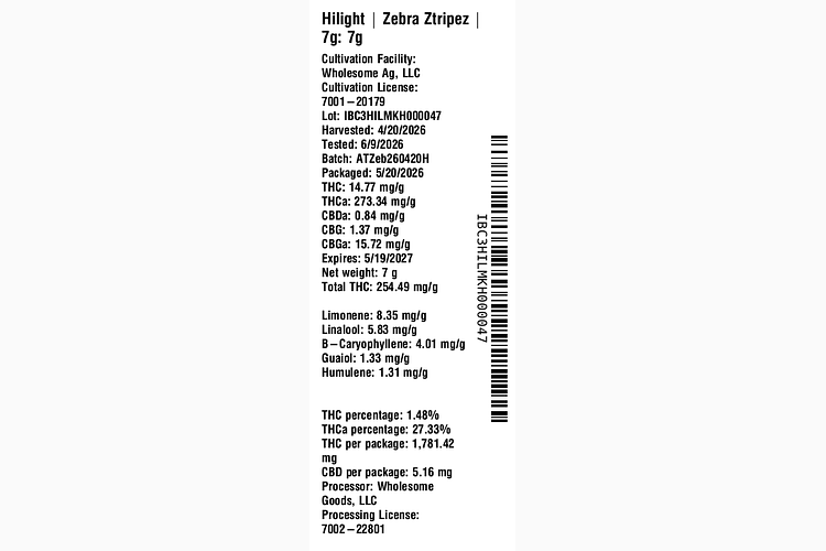 Zebra Ztripez by Hilight