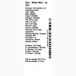 Winter Mint by Zion