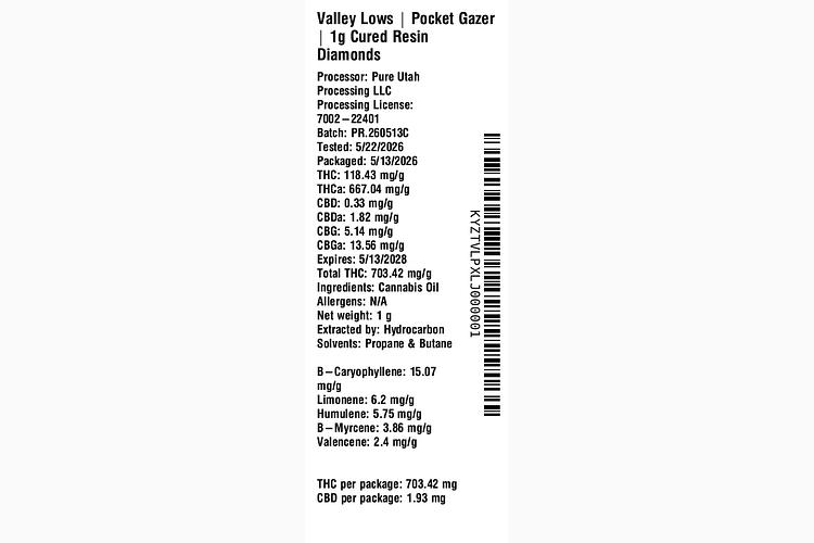 Pocket Gazer by Valley Lows