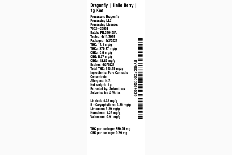 Halle Berry by Dragonfly