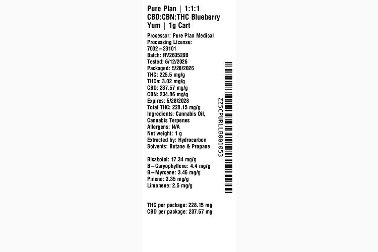 Blueberry Yum by Pure Plan
