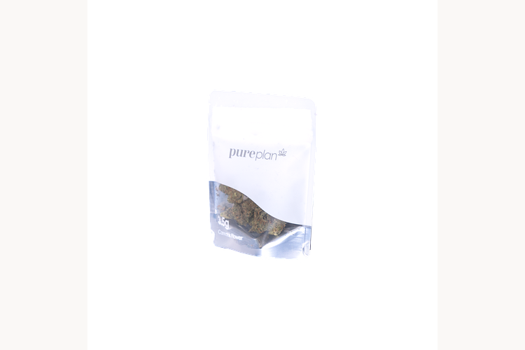 Banana Dulce #8 by Pure Plan