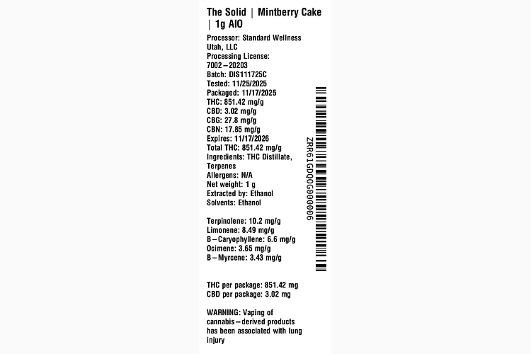 Mintberry Cake by The Solid