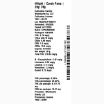 Candy Pantz by Hilight