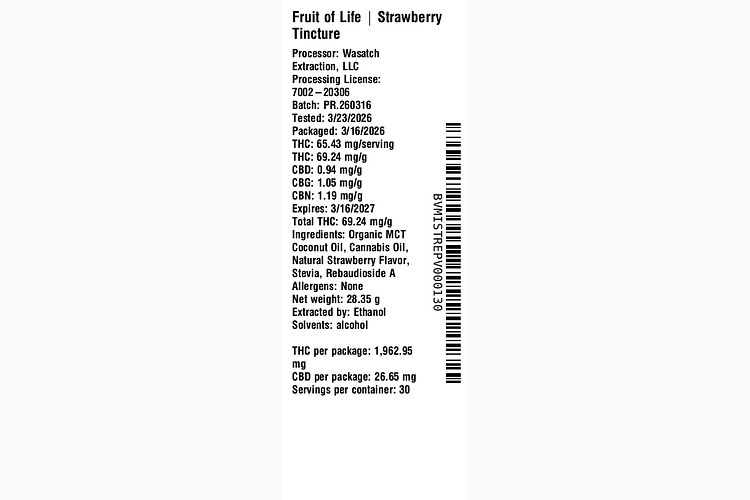 Strawberry by Fruit of Life