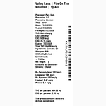 Fire On The Mountain by Valley Lows