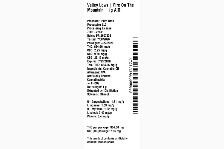 Fire On The Mountain by Valley Lows