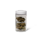 Pop The Trunk by Pure Plan