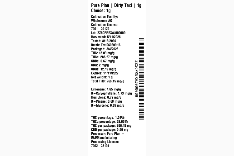 Dirty Taxi by Pure Plan