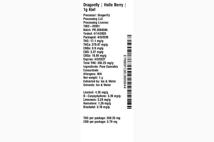 Halle Berry by Dragonfly