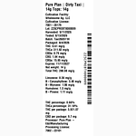 Dirty Taxi by Pure Plan
